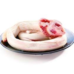 牛鞭的功效與作用