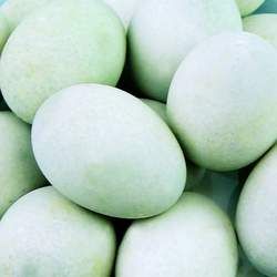 �����Ĺ�Ч�c����