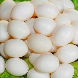 ���ӵ��Ĺ�Ч�c����