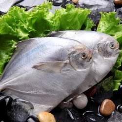 �K�~�Ĺ�Ч�c����