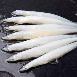 �y�~�Ĺ�Ч�c����