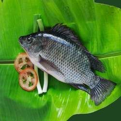 �_���~�Ĺ�Ч�c����