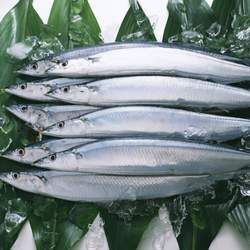 �ﵶ�~�Ĺ�Ч�c����