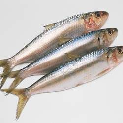 ɳ���~�Ĺ�Ч�c����