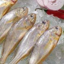 �S���~(y��)�Ĺ�Ч�c����