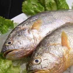 С�S�~�Ĺ�Ч�c����