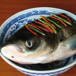 �~�^�Ĺ�Ч�c����