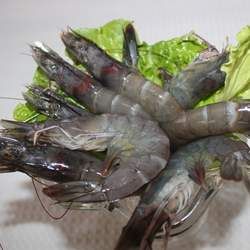 �r�Ĺ�Ч�c����