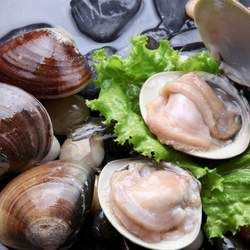 �ĸ�Ĺ�Ч�c����