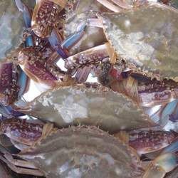 ����з�Ĺ�Ч�c����