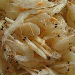 �rƤ�Ĺ�Ч�c����