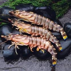 ���r�Ĺ�Ч�c����