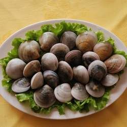 ���۵Ĺ�Ч�c����