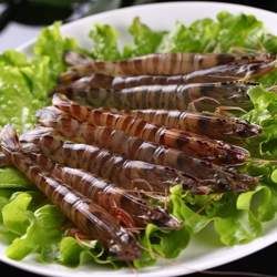 �����r�Ĺ�Ч�c����