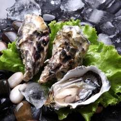 ��ϖ�Ĺ�Ч�c����