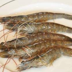 ���r�Ĺ�Ч�c����