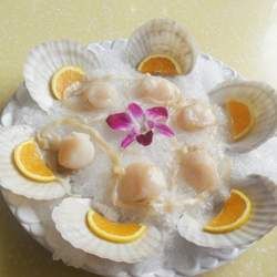 扇貝的功效與作用