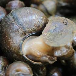 ���ݵĹ�Ч�c����