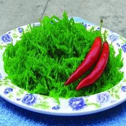 發(fā)菜的功效與作用