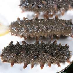 �����Ĺ�Ч�c����