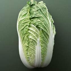 白菜的功效與作用