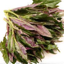 莧菜的功效與作用