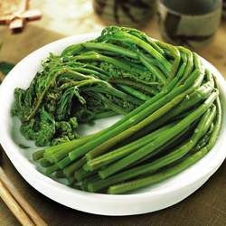 蕨菜的功效與作用