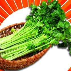 �۲˲��ܺ�ʲôһ���