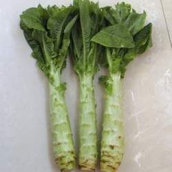 �n�S�Ĺ�Ч�c����