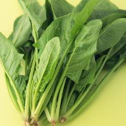 ���˵Ĺ�Ч�c����