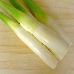 ���׵Ĺ�Ч�c����