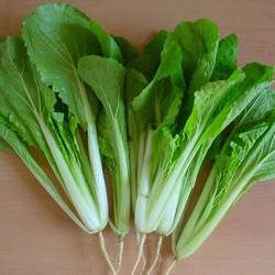 С�ײ˵Ĺ�Ч�c����