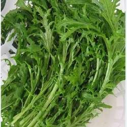 ѩ��ޮ�Ĺ�Ч�c����