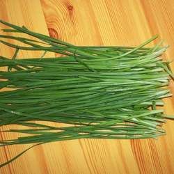 �²˲��ܺ�ʲôһ���