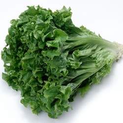 ���˲��ܺ�ʲôһ���