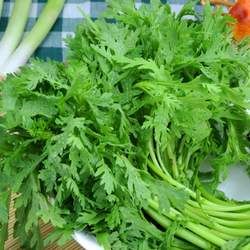 ���ﲻ�ܺ�ʲôһ���