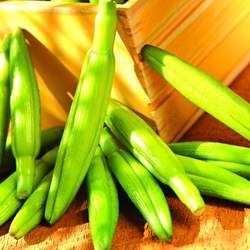 �S���˵Ĺ�Ч�c����