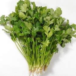 ��˲��ܺ�ʲôһ���