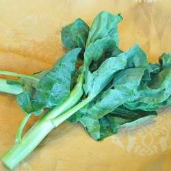 ���{�Ĺ�Ч�c����