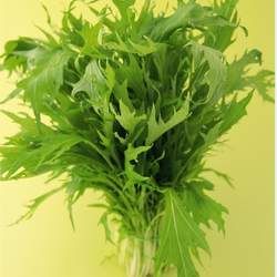 ��յĹ�Ч�c����