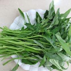 ���Ĳ˲��ܺ�ʲôһ���