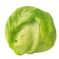 �A���˲��ܺ�ʲôһ���