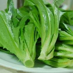 �����˵Ĺ�Ч�c����