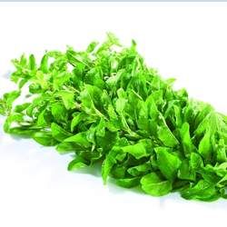 ��轲˲��ܺ�ʲôһ���