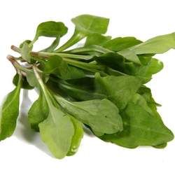 �R�m�^�Ĺ�Ч�c����