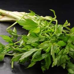 水芹菜的功效與作用