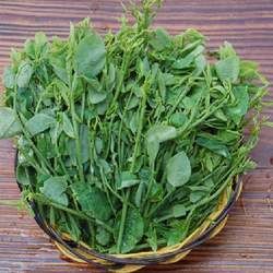 �ջ��X�Ĺ�Ч�c����