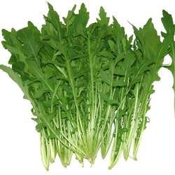 芝麻菜的功效與作用