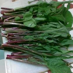 �t��̦�Ĺ�Ч�c����