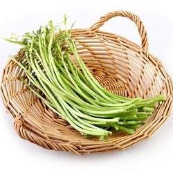 藜蒿的功效與作用